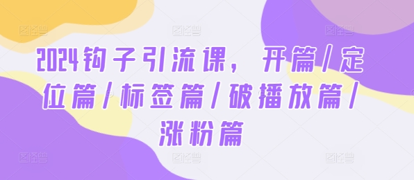 2024钩子引流课，开篇/定位篇/标签篇/破播放篇/涨粉篇速创网赚项目-副业赚钱-互联网创业-资源整合速创园