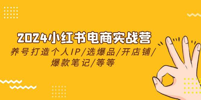 2024小红书电商实战营，养号打造IP/选爆品/开店铺/爆款笔记/等等（24节）速创网赚项目-副业赚钱-互联网创业-资源整合速创园