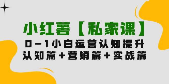 小红薯【私家课】0-1玩赚小红书内容营销，认知篇+营销篇+实战篇（11节课）速创网赚项目-副业赚钱-互联网创业-资源整合速创园