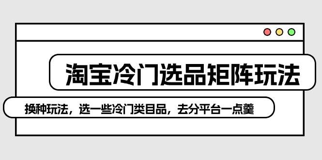 淘宝冷门选品矩阵玩法：换种玩法，选一些冷门类目品，去分平台一点羹速创网赚项目-副业赚钱-互联网创业-资源整合速创园