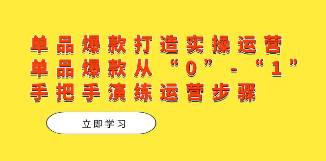 单品爆款打造实操运营，单品爆款从“0”-“1”手把手演练运营步骤速创网赚项目-副业赚钱-互联网创业-资源整合速创园