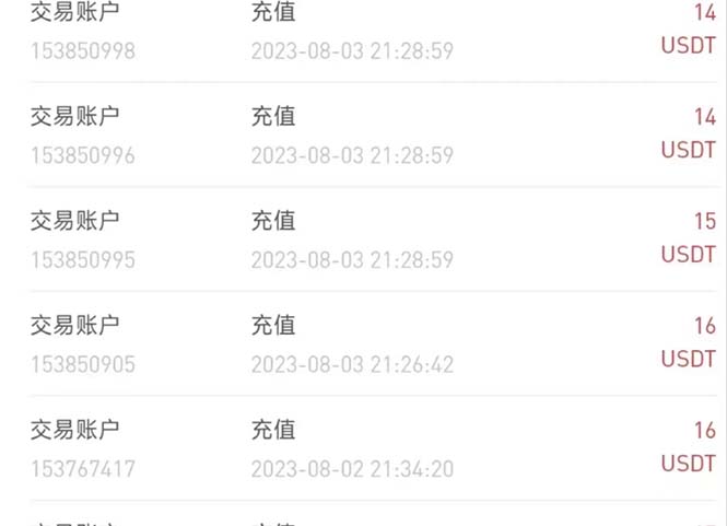 2-10.jpg 外面收费几千上万的visionstube愿景管撸美金项目,单日30-50美金+可批量