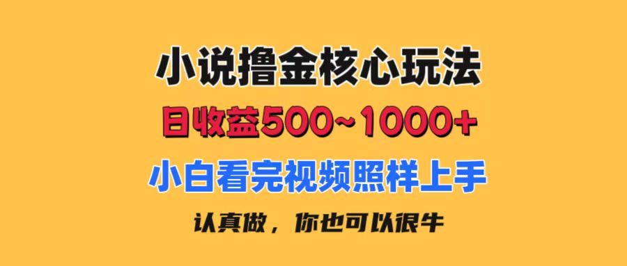 293aceee1c20240708024526.jpg 小说撸金核心玩法,日收益500-1000+,小白看完照样上手,0成本有手就行