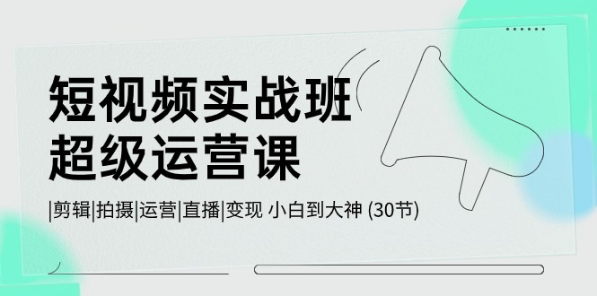 短视频实战班超级运营课 |剪辑|拍摄|运营|直播|变现 小白到大神 (30节)速创网赚项目-副业赚钱-互联网创业-资源整合速创园