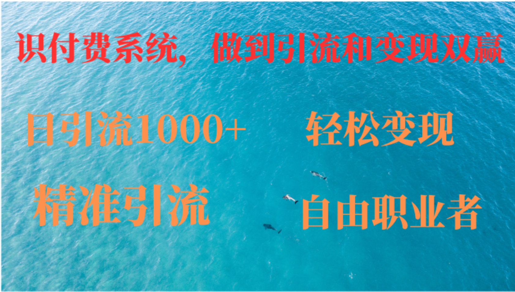 如何搭建自己的知识付费系统，做到引流和变现双赢速创网赚项目-副业赚钱-互联网创业-资源整合速创园