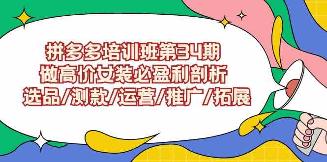 （9333期）拼多多培训班第34期：做高价女装必盈利剖析  选品/测款/运营/推广/拓展速创网赚项目-副业赚钱-互联网创业-资源整合速创园