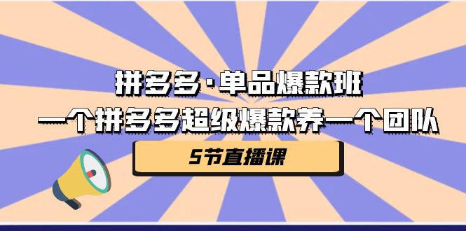 拼多多·单品爆款班，一个拼多多超级爆款养一个团队（5节直播课）速创网赚项目-副业赚钱-互联网创业-资源整合速创园