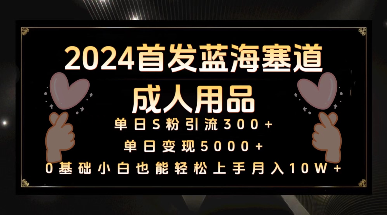 2024首发蓝海塞道成人用品，月入10W+保姆教程速创网赚项目-副业赚钱-互联网创业-资源整合速创园