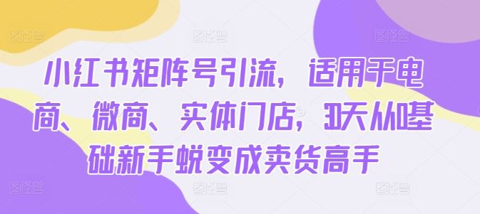 小红书矩阵号引流，适用于电商、微商、实体门店，30天从0基础新手蜕变成卖货高手速创网赚项目-副业赚钱-互联网创业-资源整合速创园