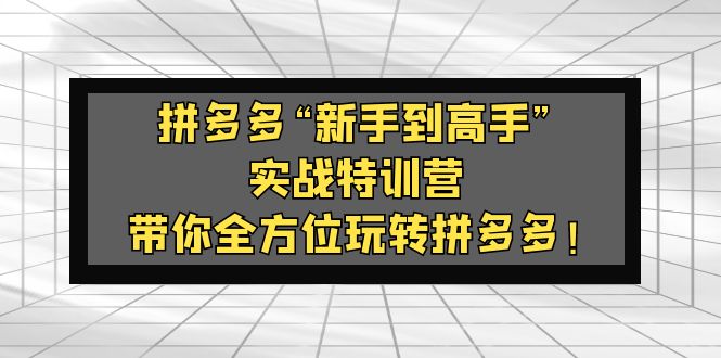 104800zq6xcifueudwoekq.jpg 拼多多“新手到高手”实战特训营:带你全方位玩转拼多多!