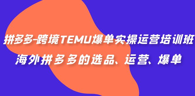 拼多多-跨境TEMU爆单实操运营培训班，海外拼多多的选品、运营、爆单速创网赚项目-副业赚钱-互联网创业-资源整合速创园
