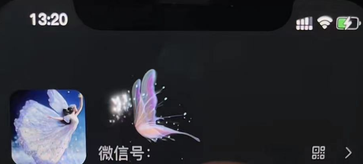 105453opmff55zj5m1p838.png 微信动态昵称设置方法,可抖音直播引流,日赚上百【详细视频教程+素材】