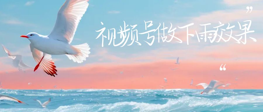视频号做下雨视频一个账号一周涨粉10W+年入100w速创网赚项目-副业赚钱-互联网创业-资源整合速创园