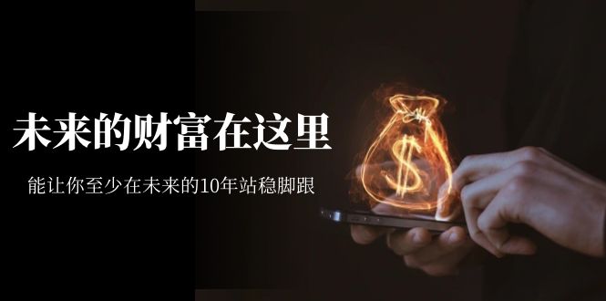 某收费文章《未来的财富在这里》能让你至少在未来的10年站稳脚跟速创网赚项目-副业赚钱-互联网创业-资源整合速创园
