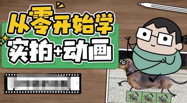 从零开始学实拍加动画，实拍加动画创意教程（49节视频课）速创网赚项目-副业赚钱-互联网创业-资源整合速创园