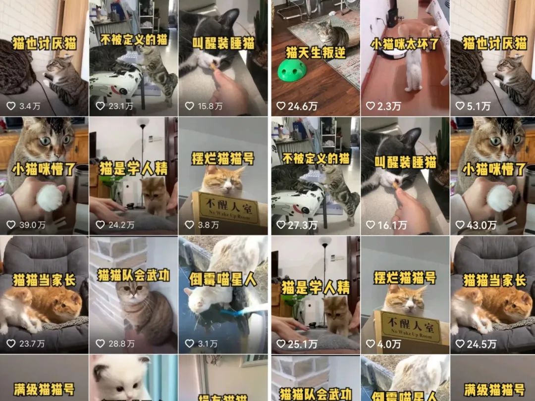 135335sbirr5i7mcgrdmim.jpg 每天收入100+的副业:分享0粉账号变现+育儿直播+百家代书项目思路!