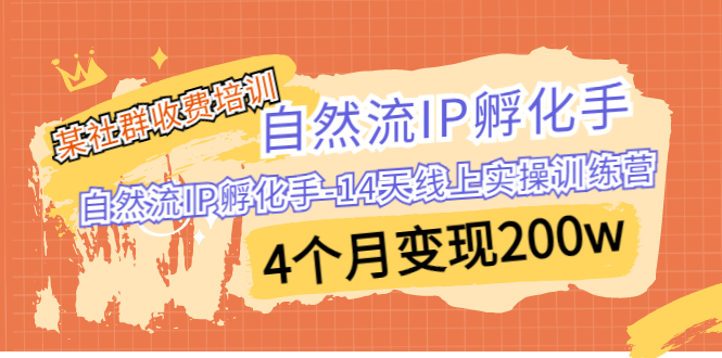 某社群收费培训：自然流IP 孵化手-14天线上实操训练营 4个月变现200w速创网赚项目-副业赚钱-互联网创业-资源整合速创园