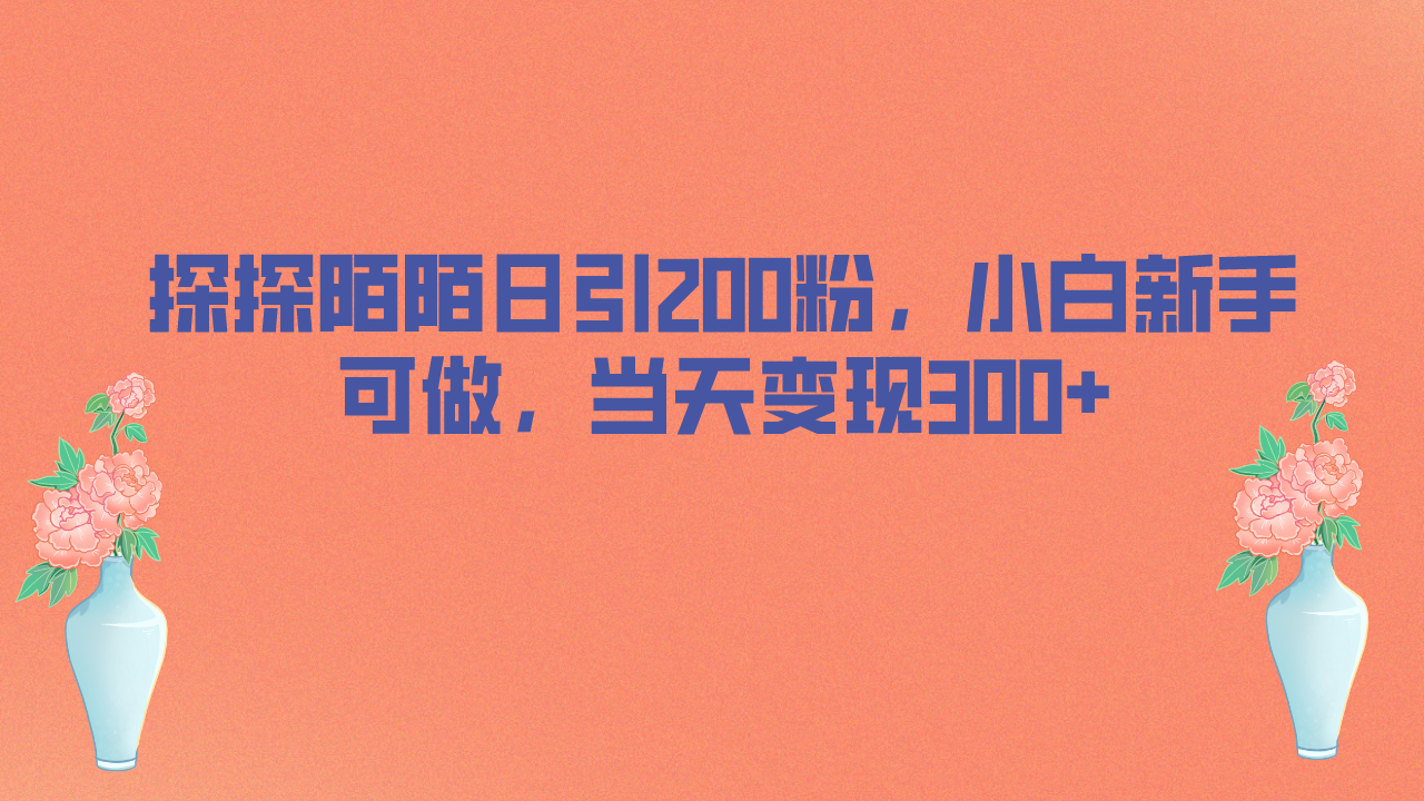 探探陌陌日引200粉，小白新手可做，当天就能变现300+速创网赚项目-副业赚钱-互联网创业-资源整合速创园