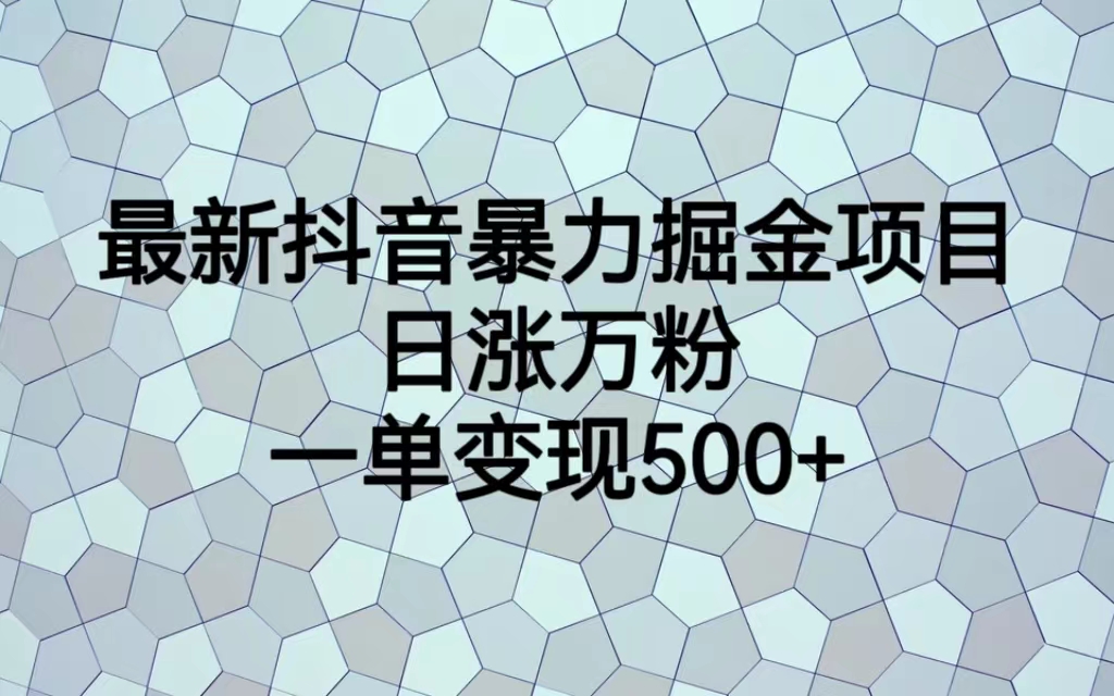 最新抖音暴力掘金项目，日涨万粉，一单变现500+速创网赚项目-副业赚钱-互联网创业-资源整合速创园