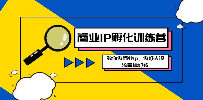 商业IP-孵化训练营新版，教你做商业Ip，做好人设，流量搞好钱速创网赚项目-副业赚钱-互联网创业-资源整合速创园