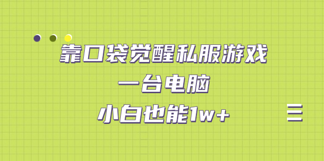 靠口袋觉醒私服游戏，一台电脑，小白也能1w+（教程+工具+资料）速创网赚项目-副业赚钱-互联网创业-资源整合速创园