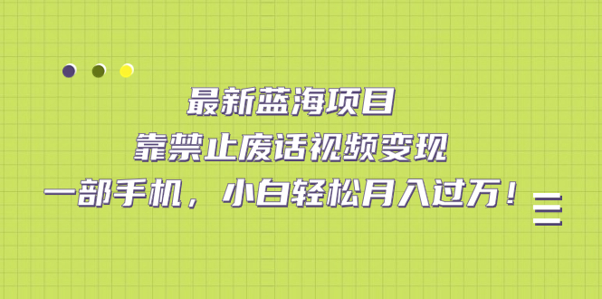 最新蓝海项目，靠禁止废话视频变现，一部手机，小白轻松月入过万！速创网赚项目-副业赚钱-互联网创业-资源整合速创园