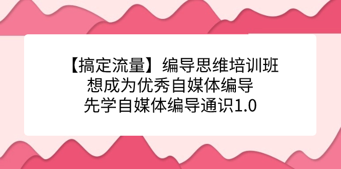 【搞定流量】编导思维培训班，想成为优秀自媒体编导先学自媒体编导通识1.0速创网赚项目-副业赚钱-互联网创业-资源整合速创园