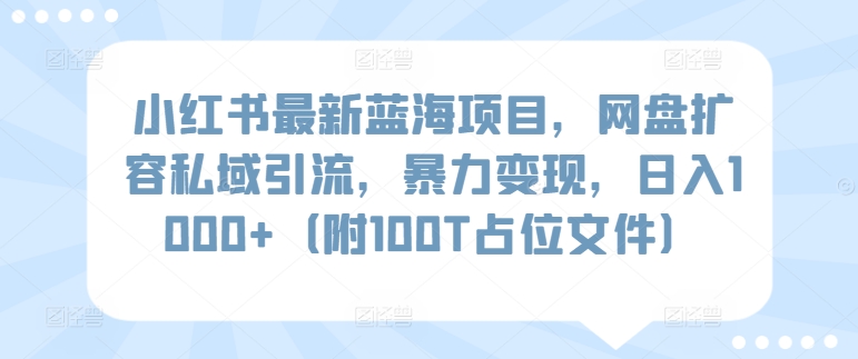 小红书最新蓝海项目，网盘扩容私域引流，暴力变现，日入1000+（附100T占位文件）速创网赚项目-副业赚钱-互联网创业-资源整合速创园