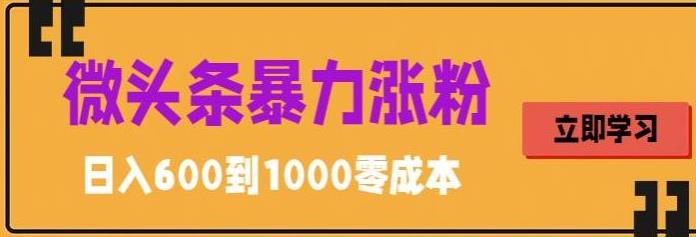 微头条暴力涨粉技巧搬运文案就能涨几万粉丝，简单0成本，日赚600速创网赚项目-副业赚钱-互联网创业-资源整合速创园