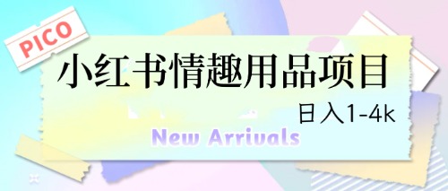 最新小红书情趣用品项目，日入1-4k速创网赚项目-副业赚钱-互联网创业-资源整合速创园
