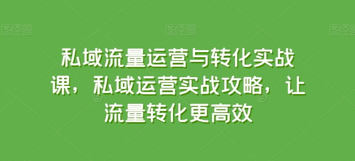 私域流量运营与转化实战课，私域运营实战攻略，让流量转化更高效速创网赚项目-副业赚钱-互联网创业-资源整合速创园