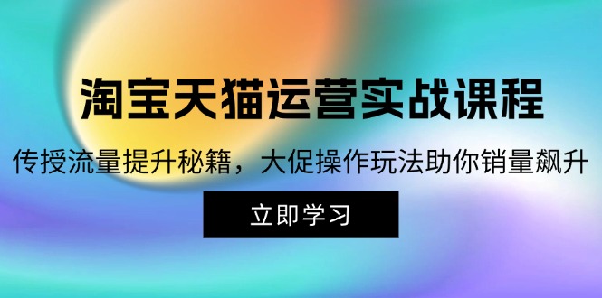 （12959期）淘宝&天猫运营实战课程，传授流量提升秘籍，大促操作玩法助你销量飙升速创网赚项目-副业赚钱-互联网创业-资源整合速创园