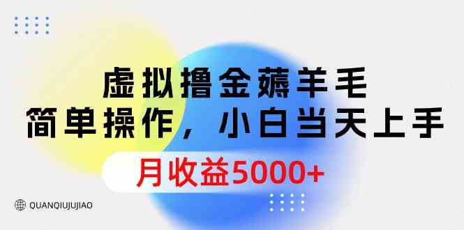（9864期）虚拟撸金薅羊毛，简单操作，小白当天上手，月收益5000+速创网赚项目-副业赚钱-互联网创业-资源整合速创园