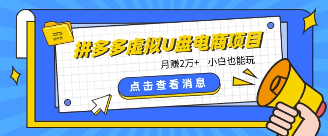 拼多多虚拟U盘电商红利项目：月赚2万+，新手小白也能玩速创网赚项目-副业赚钱-互联网创业-资源整合速创园