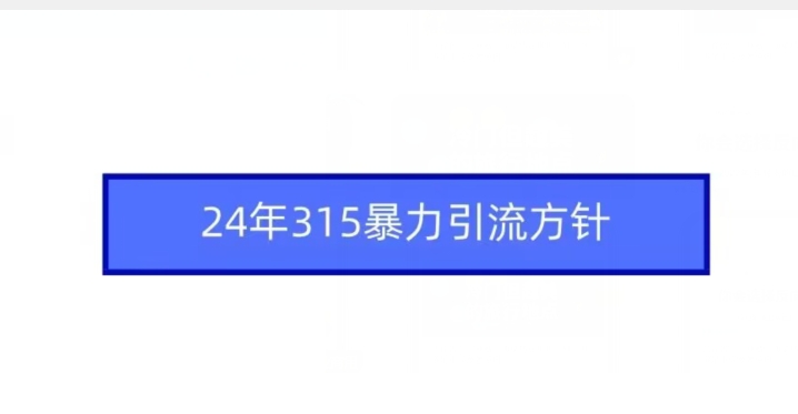 24年315暴力引流方针速创网赚项目-副业赚钱-互联网创业-资源整合速创园