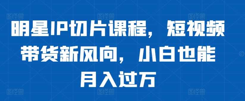 明星IP切片课程，短视频带货新风向，小白也能月入过万速创网赚项目-副业赚钱-互联网创业-资源整合速创园