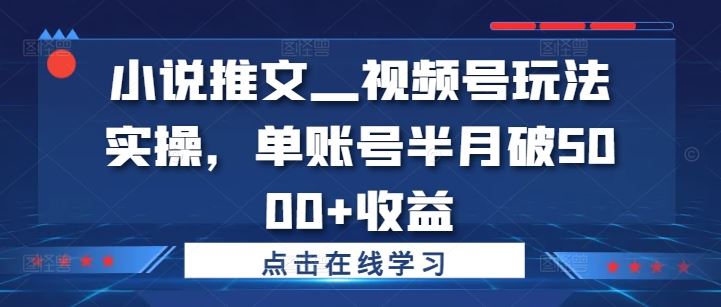 小说推文—视频号玩法实操，单账号半月破5000+收益速创网赚项目-副业赚钱-互联网创业-资源整合速创园