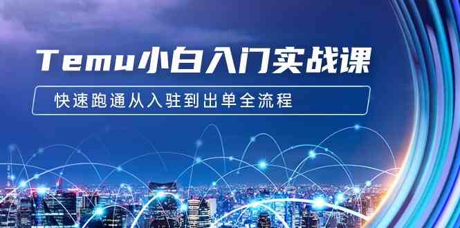 （9295期）Temu小白入门实战课：跨境拼多多电商培训 快速跑通从入驻到出单全流程-12节速创网赚项目-副业赚钱-互联网创业-资源整合速创园