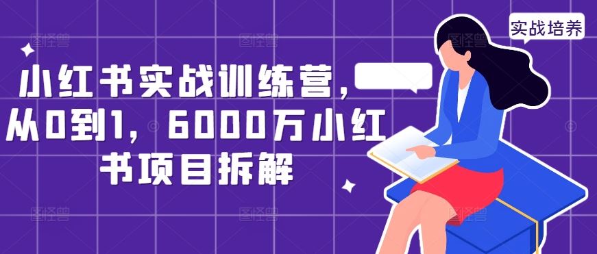 小红书实战训练营，从0到1，6000万小红书项目拆解速创网赚项目-副业赚钱-互联网创业-资源整合速创园