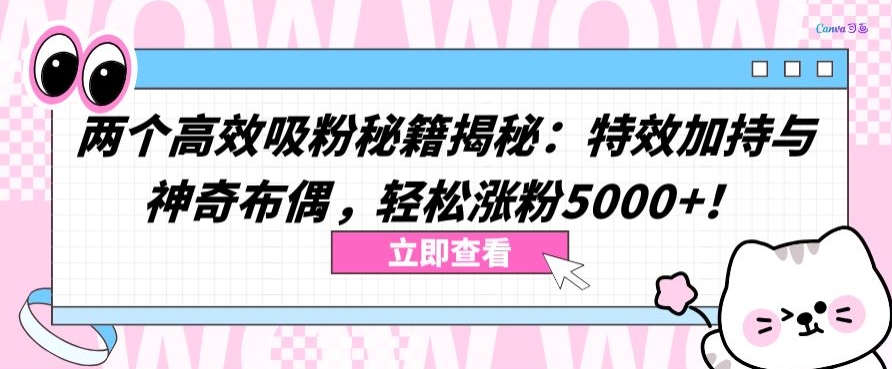 两个高效吸粉秘籍揭秘：特效加持与神奇布偶，轻松涨粉5000+速创网赚项目-副业赚钱-互联网创业-资源整合速创园