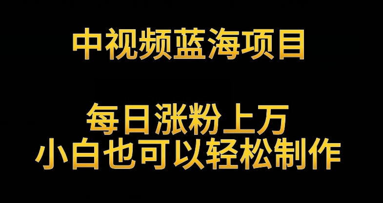 中视频蓝海项目，解读英雄人物生平，每日涨粉上万，小白也可以轻松制作，月入过万不是梦速创网赚项目-副业赚钱-互联网创业-资源整合速创园