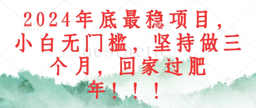 （12970期）2024年底最稳项目，小白无门槛，坚持做三个月，回家过肥年！！！速创网赚项目-副业赚钱-互联网创业-资源整合速创园