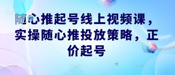 随心推起号线上视频课，实操随心推投放策略，正价起号速创网赚项目-副业赚钱-互联网创业-资源整合速创园