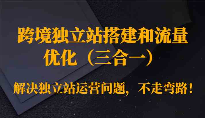 跨境独立站搭建和流量优化（三合一）解决独立站运营问题，不走弯路！速创网赚项目-副业赚钱-互联网创业-资源整合速创园