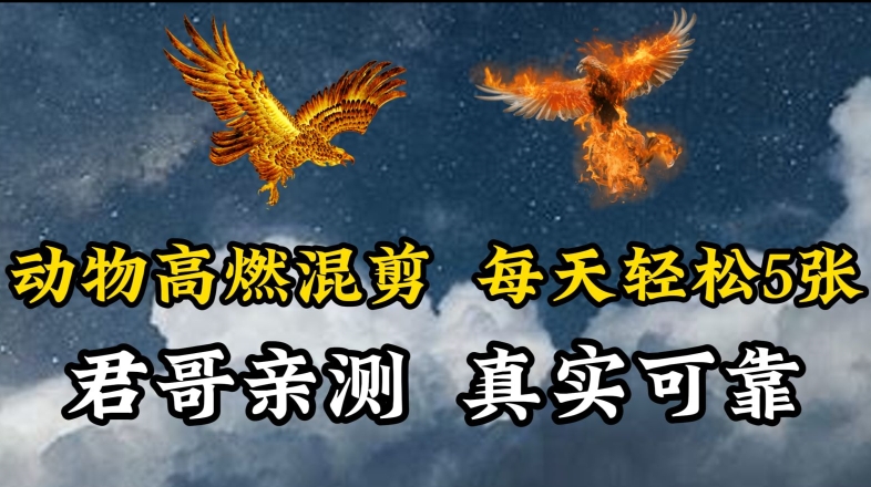 动物超燃混剪，每天轻松5张，剪辑简单大家爱看速创网赚项目-副业赚钱-互联网创业-资源整合速创园
