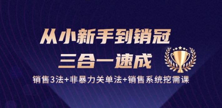 从小新手到销冠 三合一速成：销售3法+非暴力关单法+销售系统挖需课 (27节)速创网赚项目-副业赚钱-互联网创业-资源整合速创园