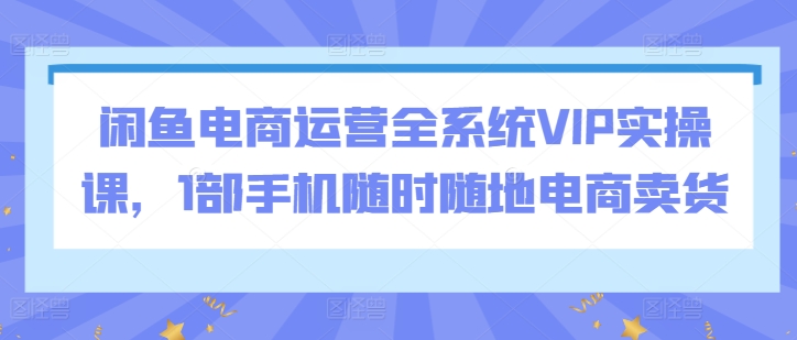 闲鱼电商运营全系统VIP实操课，1部手机随时随地电商卖货速创网赚项目-副业赚钱-互联网创业-资源整合速创园