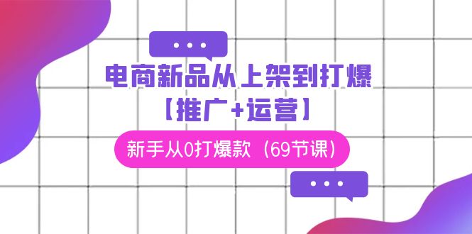 电商新品从上架到打爆【推广+运营】，新手从0打爆款（69节课）速创网赚项目-副业赚钱-互联网创业-资源整合速创园