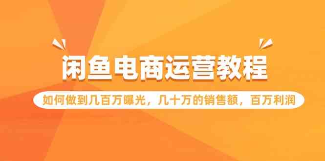 （9560期）闲鱼电商运营教程：如何做到几百万曝光，几十万的销售额，百万利润速创网赚项目-副业赚钱-互联网创业-资源整合速创园