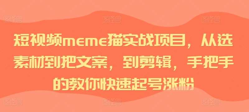 短视频meme猫实战项目，从选素材到把文案，到剪辑，手把手的教你快速起号涨粉速创网赚项目-副业赚钱-互联网创业-资源整合速创园